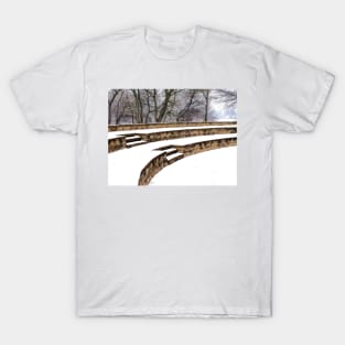 Snowy Steps at Phillips Park T-Shirt